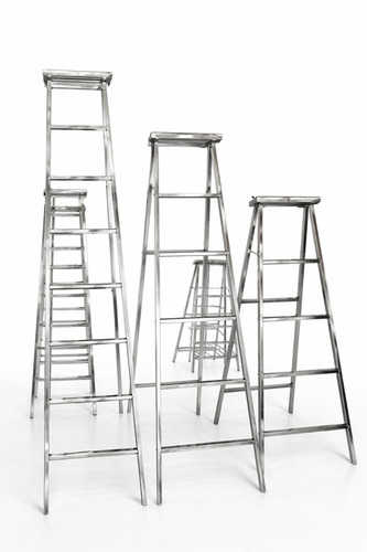 Stainless Steel Ladder