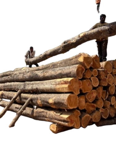 Teak Logs - Feature: Hard Wood For Building Material