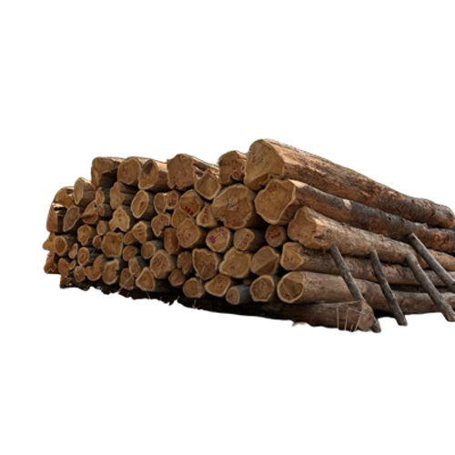 Teak Wood Timber