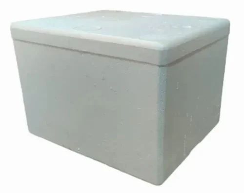 Thermocol Ice Box