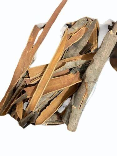 Cinnamon Stick