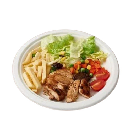 Disposable Plain Round Plate