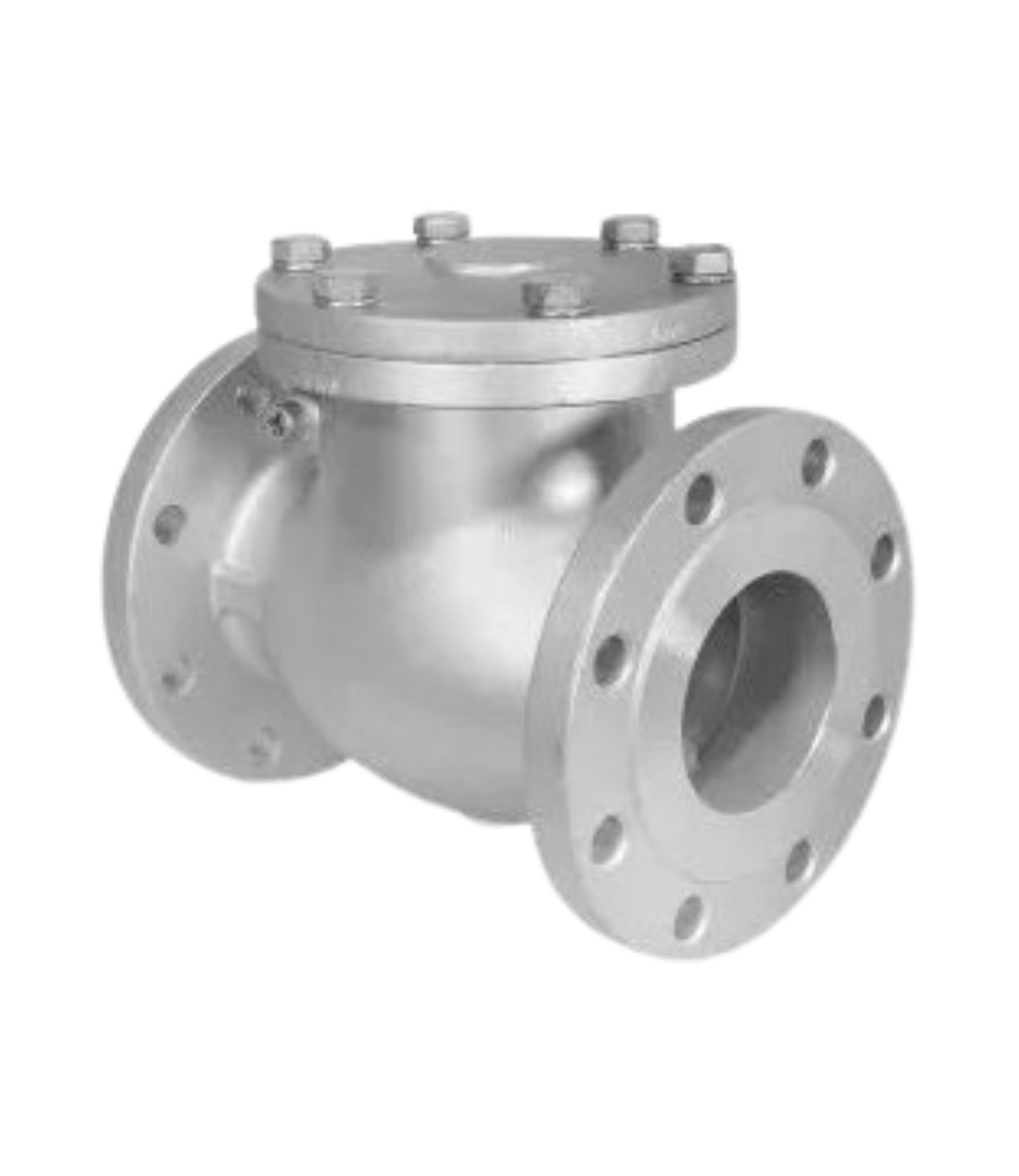 Industrial Check Valve - Color: Grey