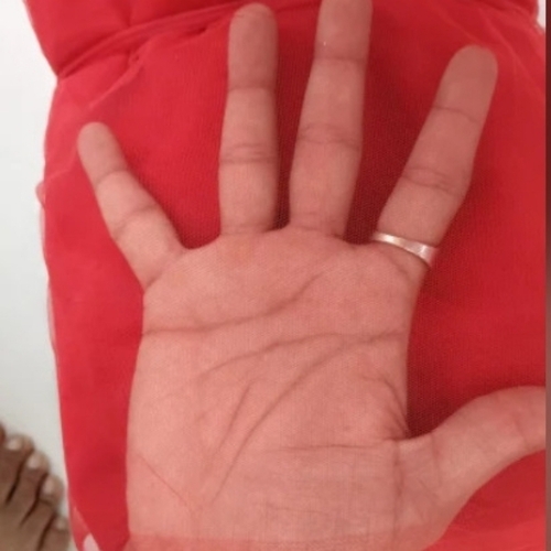 Red Net Fabric 