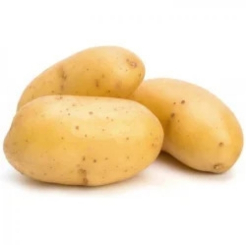 Fresh Organic Potato