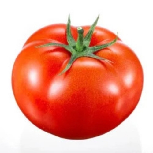 Organic Red Nati Tomato