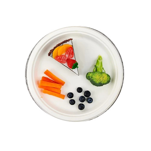 9 Inch Biodegradable Disposable Plate - Application: Food Service