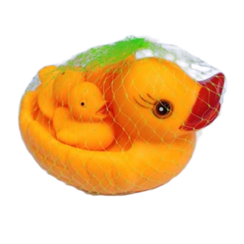 Duck Toy