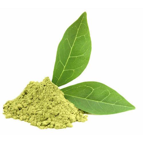 Green Tea Extract Powder - Product Type: Hebal Product