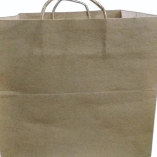 Plain Paper Bags