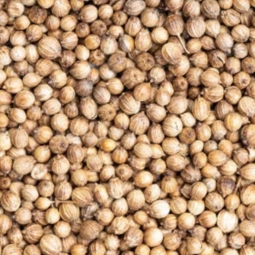 Brown Dried Coriander Seed