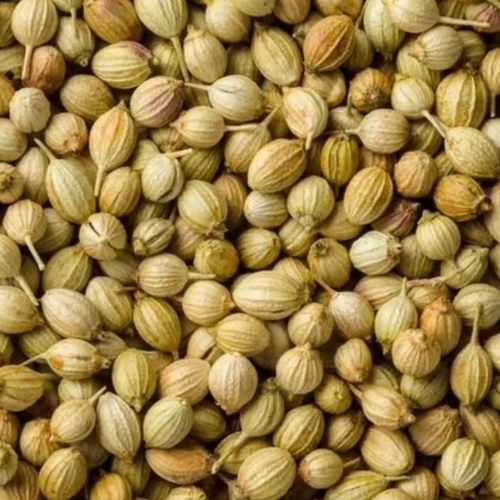 Dried Brown Organic Coriander Seed