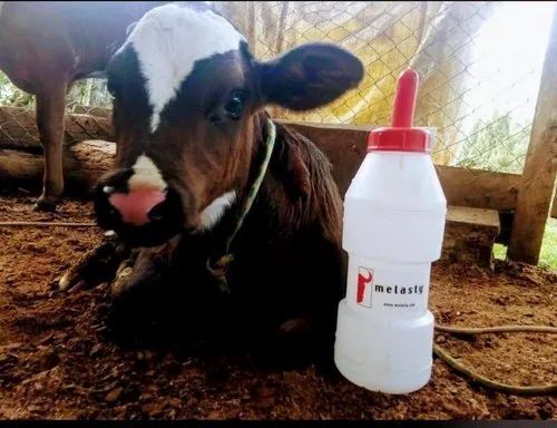 2.5 Litre Calf Feeding Bottle - Color: .