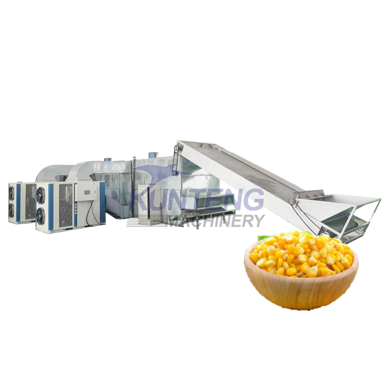 Continuous Multi Layer Mesh Belt Dryer - Capacity: 5000 Kg/Hr