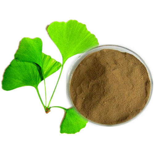 Ginko Biloba Extract Powder - Grade: A