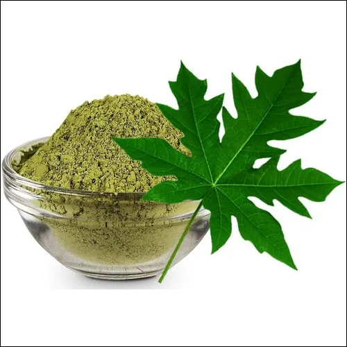 Papaya Leaf Extract Powder - Age Group: Suitable For All Ages