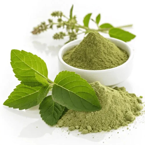 Tulsi Extract Powder - Grade: A