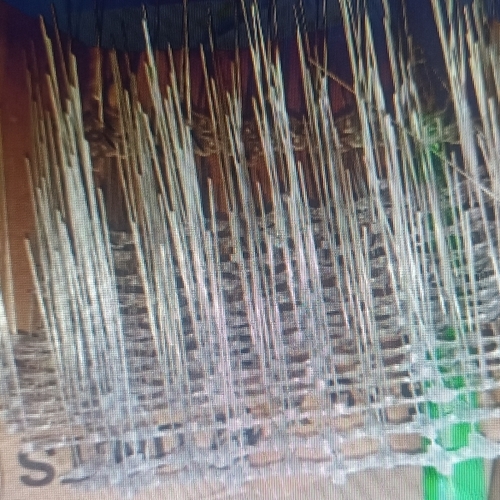 Polycarbonate Birds spikes