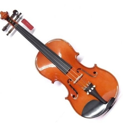 Acoustic Violin
