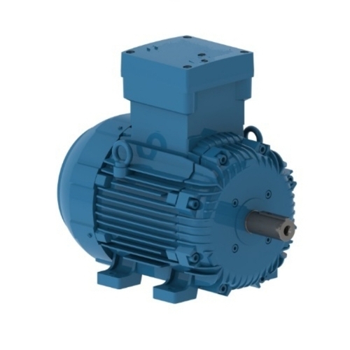 Crompton Greaves Motor 