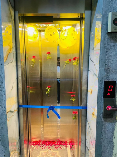 Small Home Lift - Material: Stainless Steel