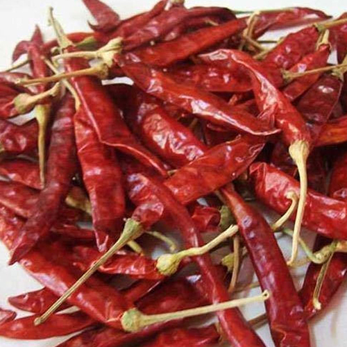 341 Variety Red Chilli