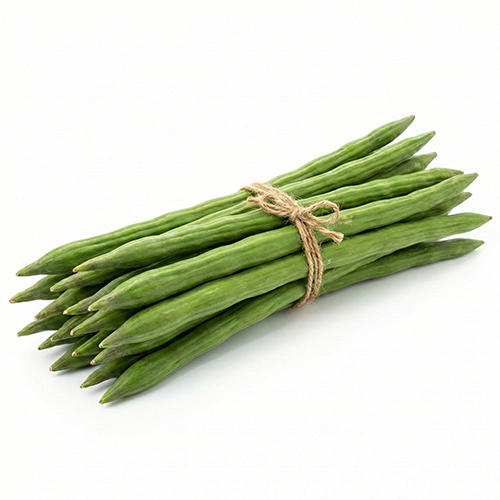 Drumstick Moringa