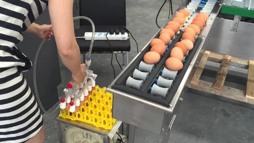 Ems 30 Manual Egg Stamping Machine