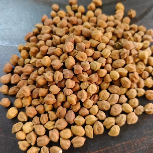 Fiber Dense Chick Pea - Cultivation Type: Common
