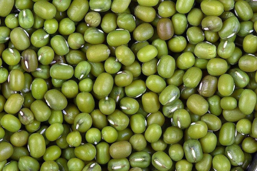 High Protein Mung Beans