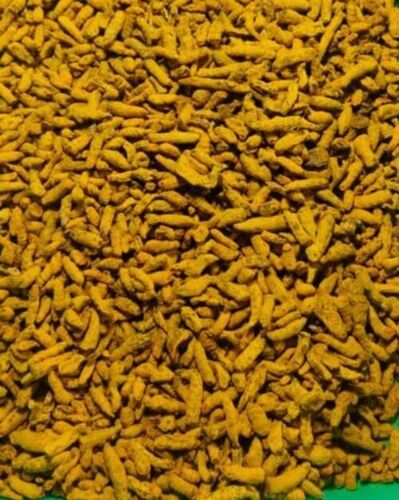 Polished Turmeric Finger