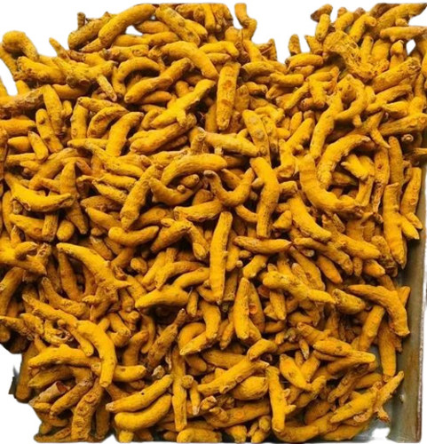 Salem Turmeric Finger