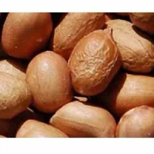 Bold Java Peanut
