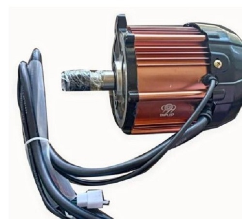 Electric Rickshaw Electric Motor