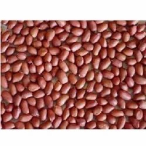 Groundnut Kernals