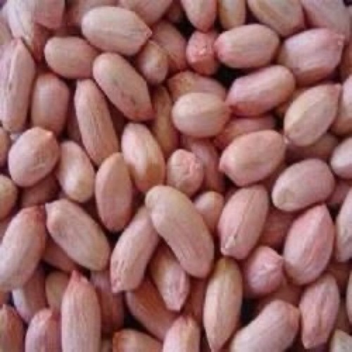 Java Peanuts