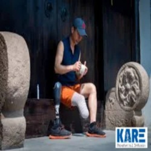Lower limb prosthesis