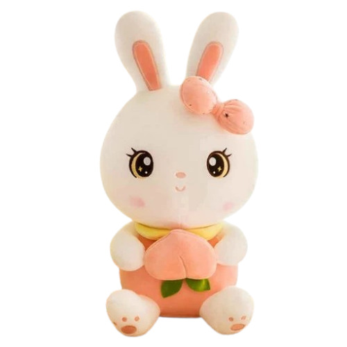 Cute Fruit Rabbit
