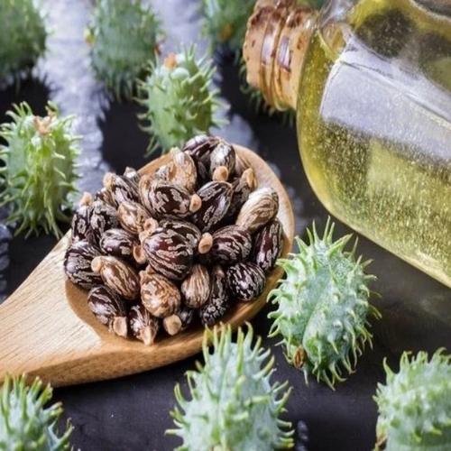 Cold Pressed Caster Oil
