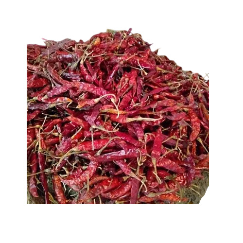 Dried Red Chilli