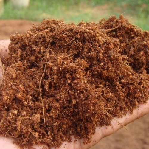 Coco Coir Powder