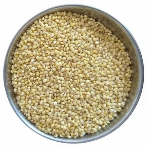 Organic Millet Seeds
