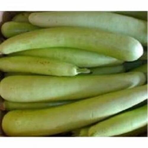 Bottle Gourds