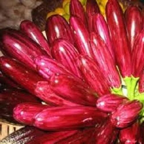 Fresh Brinjal