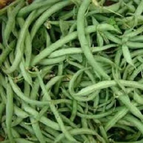 Fresh Green Vegetables