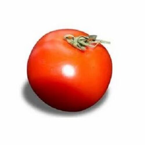 Fresh Red Tomatoes
