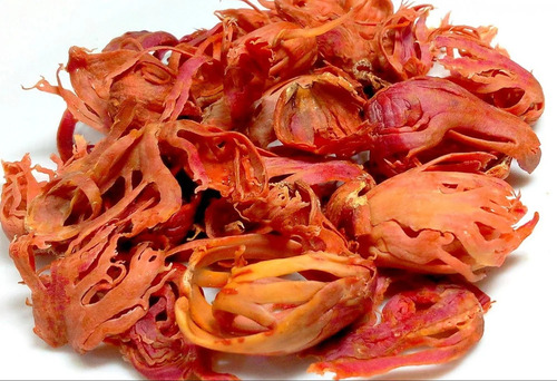 Organic Dried Javitri (Mace Spice) - Grade: A-Grade