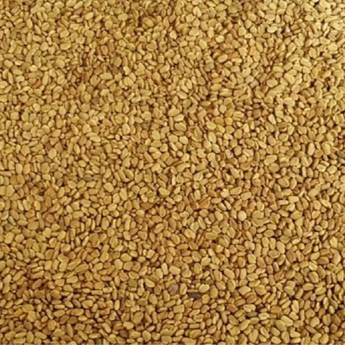 Organic Fenugreek Seeds - Grade: A-Grade