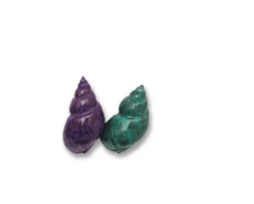 Dyed Shells Crafts