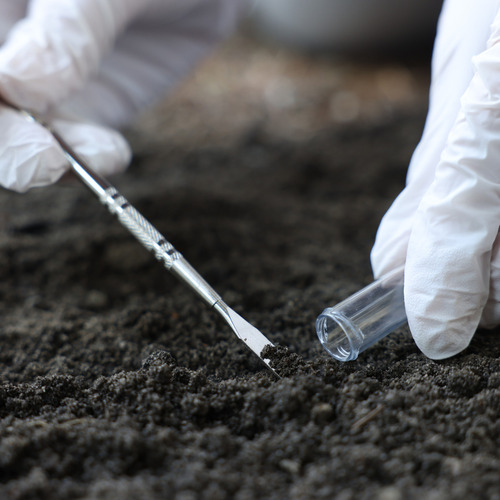 Environmental Testing Services